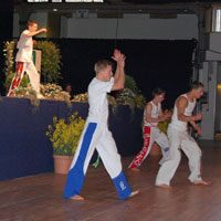 Äüßerst sportlich präsentierten sich die Capoeira-Tänzer 